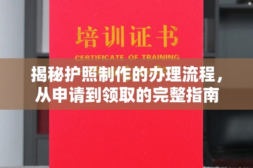 新华揭秘护照制作的办理流程，从申请到领取的完整指南