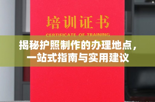 新华揭秘护照制作的办理地点，一站式指南与实用建议