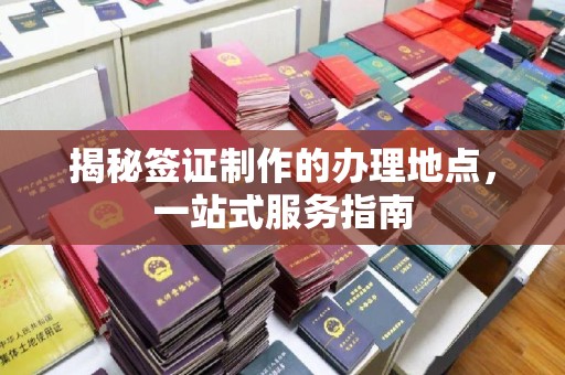 新华揭秘签证制作的办理地点，一站式服务指南