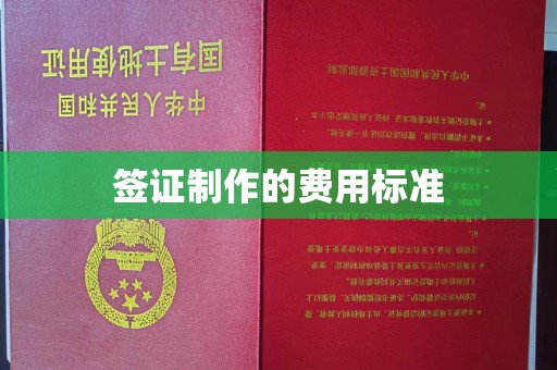 新华签证制作的费用标准