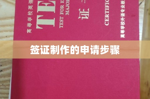 新华签证制作的申请步骤