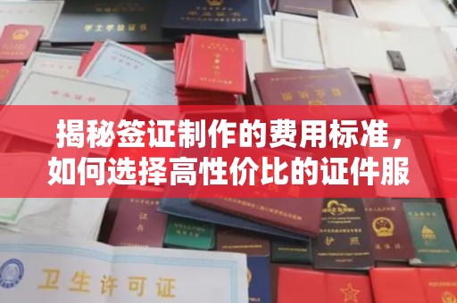 新华揭秘签证制作的费用标准，如何选择高性价比的证件服务