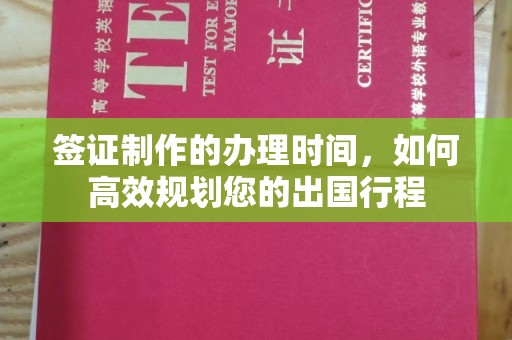 新华签证制作的办理时间，如何高效规划您的出国行程