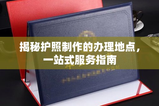 新华揭秘护照制作的办理地点，一站式服务指南