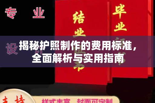 新华揭秘护照制作的费用标准，全面解析与实用指南