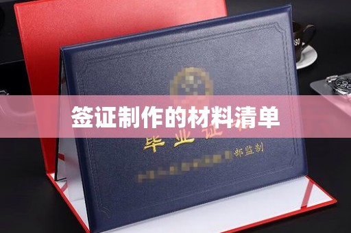 新华签证制作的材料清单