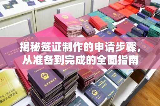 新华揭秘签证制作的申请步骤，从准备到完成的全面指南