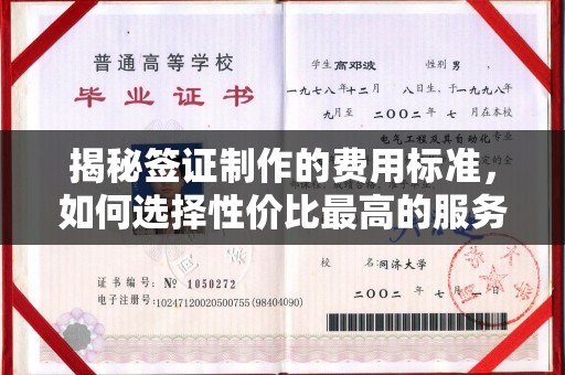 新华揭秘签证制作的费用标准，如何选择性价比最高的服务？