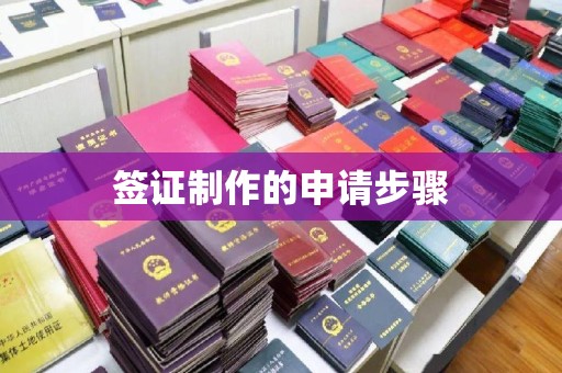 新华签证制作的申请步骤