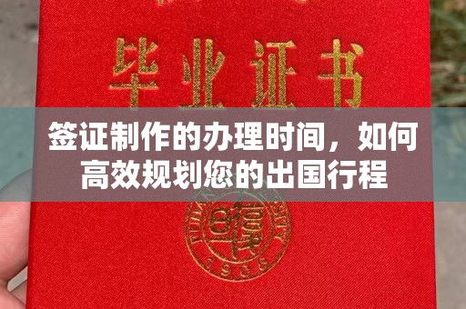 新华签证制作的办理时间，如何高效规划您的出国行程
