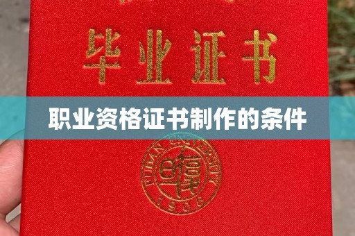 新华职业资格证书制作的条件